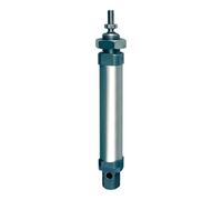RIEGLER 105774-1.DM.16100 - Cilindro rotondo, a doppia azione, magnete, ø 16, o D, hub 100, M5, 1 pz