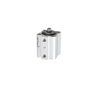 RIEGLER 105919-3.DM.32010 - Cilindro a doppia azione, magnete, diametro pistone 32, hub 10, G 1/8, 1 pezzo