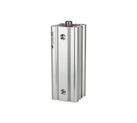 RIEGLER 105975-7.DMI.20060 - Cilindro compatto LINER, a doppia azione, IG, diametro pistone 20, hub 60, M5, 1 pz