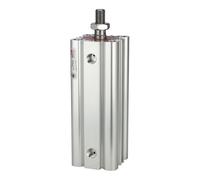 RIEGLER 106051-7.DMA.20040 - Cilindro compatto LINER, a doppia azione, AG, diametro pistone 20, hub 40, M5, 1 pz