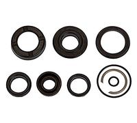 RIEGLER 106176-235.21-M - Set di guarnizioni per cilindri compatti, diametro pistone 80, guarnizione in poliuretano, 1 pezzo