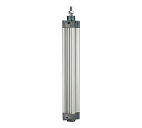 RIEGLER 106256-5.DMD.125025 - Cilindro standard, a doppia azione, magnete, diametro pistone 125, hub 25, G 1/2, 1 pezzo