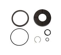 RIEGLER 106286-235.24-M - Set di guarnizioni per cilindri normali, diametro pistone 40, guarnizione NBR, 1 pezzo