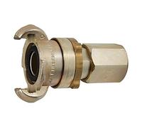 RIEGLER 107881-KI 34 S - Giunto di sicurezza con filettatura interna, G 3/4, DN 17, 1 pezzo