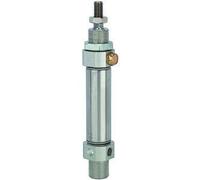 RIEGLER 115008-11.EM.40100 - Cilindro rotondo MSI, effetto semplice, diametro pistone 40, hub 100, G 1/4, 1 pz
