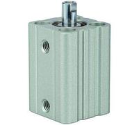 RIEGLER 115050-12.DMI.12020 - Cilindro a corsa corta ACQ a doppia azione, diametro pistone 12, hub 20, M5 x 0,8, 1 pz