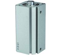 RIEGLER 115070-12.DMI.20020 - Cilindro a corsa corta ACQ a doppia azione, diametro pistone 20, hub 20, M5 x 0,8, 1 pz