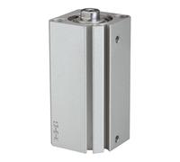RIEGLER 115087-12.DMI.25035 ACQ - Cilindro a doppia azione, diametro pistone 25, hub 35, M5 x 0,8, 1 pz