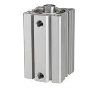 RIEGLER 115133-12.DMI.50055 ACQ - Cilindro a doppia azione, diametro pistone 50, hub 55, G 1/4, 1 pz