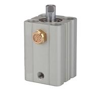 RIEGLER 115169-12.EM.12020 - Cilindro a corsa corta "ASQ", ad azione semplice, diametro pistone 12, hub 20, M5 x 0,8, 1 pz