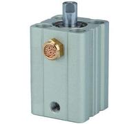 RIEGLER 115173-12.EM.16020 - Cilindro a corsa corta "ASQ", ad azione semplice, diametro pistone 16, hub 20, M5 x 0,8, 1 pz