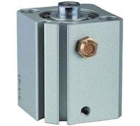 RIEGLER 115177-12.EM.20020 - Cilindro a corsa corta "ASQ", ad azione semplice, diametro pistone 20, hub 20, M5 x 0,8, 1 pz