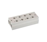 RIEGLER 116229-5510.05-18 - Piastra di base multipla per valvole a 3/2 direzioni, 5 posizioni, M5, G 1/8, 1 pezzo