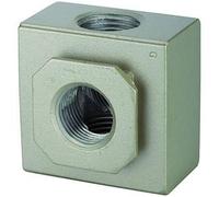 RIEGLER 116476-GZ 32 - Distributore "G", con 2 uscite, BG 400, G 3/8, PE 0-9 bar, 1 pezzo