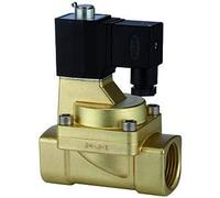RIEGLER 116573-MV 1573 - MV, 2/2 vie, MS, NO, pre, 24 V DC, G 1, PN 0,5-7 bar, 1 pezzo