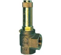 RIEGLER 117644 - 222.08 - 0,8 valvola di sicurezza, vapore sazio, G 2, pressione di risposta 0,8 bar, 1 pezzo
