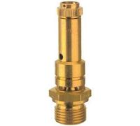 RIEGLER 117678-226.02-8,7 valvola di sicurezza DN 8, ottone, G 3/8, pressione di risposta 8,7 bar, 1 pezzo
