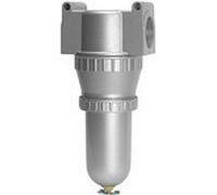 RIEGLER 129494 - Filtro standard con contenitore in metallo, 5 µm BG 2 G, 3/8-1 pezzo