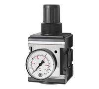 RIEGLER 133100-R 44-16 - Regolatore di pressione "multifix", con manometro, BG 4, G 3/4, 0,5-16 bar, 1 pezzo