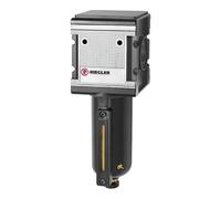 RIEGLER 133113-F 44 M-SR - Filtro multifix in metallo, 5 µm, BG 4, G 3/4, HA, 1 pezzo