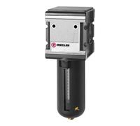 RIEGLER 133149-FA 44 S - Filtro ai carboni attivi "multifix", contenitore per PC, cestino di protezione, BG 4, G 3/4, 1 pezzo