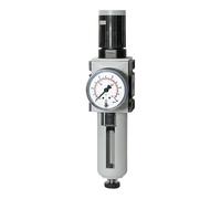 RIEGLER 139499-FU 813-10 - Regolatore filtro FUTURA", PC, SK, Mano, BG 2, G 3/8, 0,5-10 bar, HA, 1 pezzo