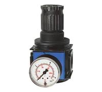 RIEGLER 149226-VRP 63 - Regolatore di pressione di precisione "variobloc", BG 2, G 1, 0,2-6 bar, 1 pezzo