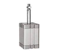 RIEGLER 15.AMA.20015 Serie ATE - Cilindro compatto, semplice, senza pressione, pistone, pistone da 20 mm, corsa da 15 mm, attacco M5, M8 x 1,25