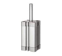 RIEGLER 15.AMI.100025 Serie ATE - Cilindro compatto, semplice da usare, con magnete, filettatura interna, pistone da 100 mm, corsa da 25 mm, attacco G 1/8", M12 x 1,75