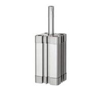 RIEGLER 15.AMI.50020 Serie ATE - Cilindro compatto, semplice da usare, con magnete, filettatura interna, pistone da 50 mm, corsa da 20 mm, attacco G 1/8", M10 x 1,5