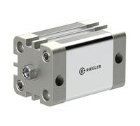 RIEGLER 15.DMI.80050 Serie ACE - Cilindro compatto a doppia azione IG, magnete, pistone da 80 mm, corsa da 50 mm, attacco G 1/8", M12 x 1,75