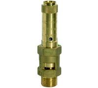 RIEGLER 152237-229.05-3,9 valvola di sicurezza, ottone, G 1 1/2, pressione di risposta 3,9 bar, 1 pezzo