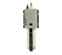 RIEGLER 156651-FU 902-M FUTURA - Olio per nebbia con contenitore in metallo e tubo di visualizzazione, BG 1, G 3/8, 1 pezzo