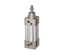 RIEGLER 16.DMD.32075 - Cilindro normale serie SAI a doppio effetto, 32 mm di diametro, corsa 75 mm, connettore G 1/8"