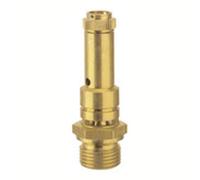 RIEGLER 226.01-46,0 - Valvola di sicurezza DN 8, in ottone, G 1/4, pressione 5.9 bar