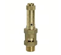 RIEGLER 229.04-7,8 - Valvola di sicurezza, in ottone, G 2, pressione di risposta 6.8 bar