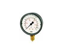 Riegler - El Acciaio Inox glyz-manomet. 0 - 2,5 bar/G 1/