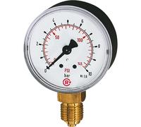 RIEGLER Manometro standard / tipo 111.10