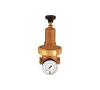 RIEGLER Regolatore di pressione DRV 250 DRV 1/4, 0,2-2 bar, 1 pezzo