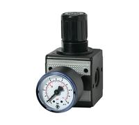 Riegler Regolatore di pressione "Multifix ", incluso manometro, BG 3, G 1/2, 0,5 -10bar Quantità:1
