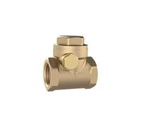 RIEGLER RK112MSNBRE - Valvola di non ritorno, DN 40, G 1 2, PN max. 16 Bar
