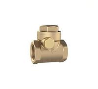 RIEGLER RK212MSE - Valvola di non ritorno, DN 65, G 2 1/2, PN max. 16 Bar