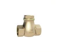 RIEGLER RK212RG - Valvola di ritegno DN 50, in ottone, G 2, PN max. 10 Bar