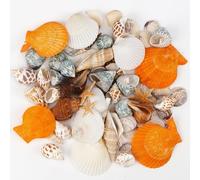 Rierousy Conchiglie Decorative Conchiglie di Mar Piccole Stelle Marine Decorative Conchiglie per Decorazioni, Naturali Decorazioni Mare Spiaggia