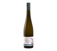Riesling 2024 Alto Adige Valle Venosta DOC Falkenstein