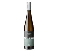 Riesling 'Moi'a' Cantina di Trento 2016