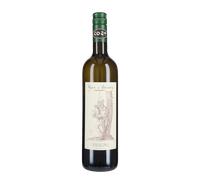 Riesling Pojer e Sandri 2025