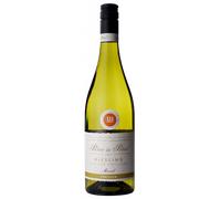 Riesling Steillage Trocken 2024 - Peter & Peter