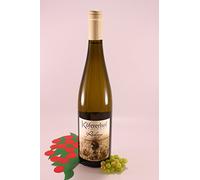 Riesling Valle Isarco - 2022 - Köfererhof