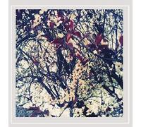 Riffbrokers - Every Pilot's Blinded By The Sun